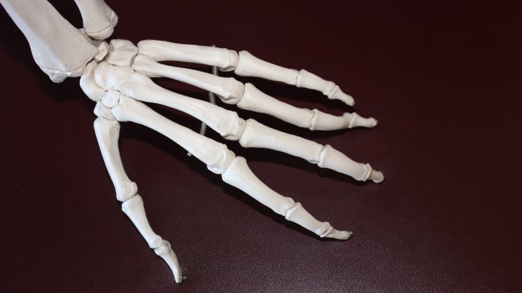 Hopping for Bone Health The Power of High-Impact Activities