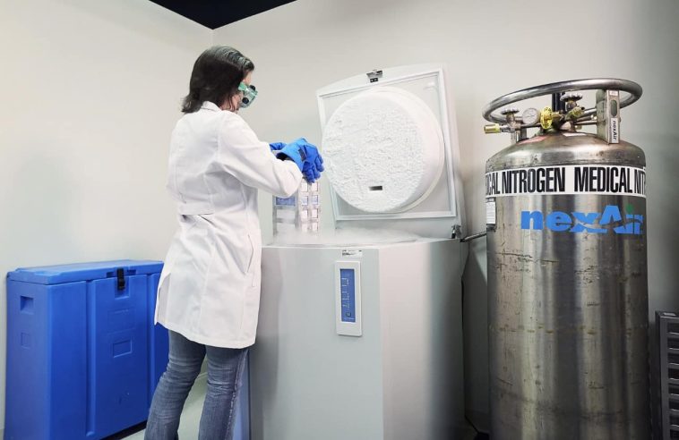 dry ice for pharmaceutical applications